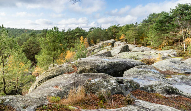 Walking at Autumn in the Fontainebleau Forest near Paris