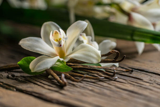 Dried vanilla sticks and vanilla orchid flower on a wooden table. Close-up.